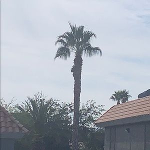 Meet your Posher, Ronald